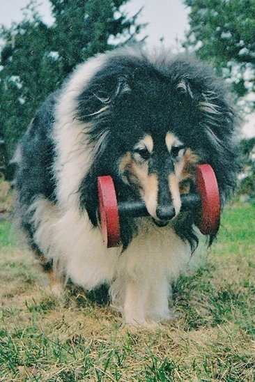 Sammie with 4 kg dumbbell