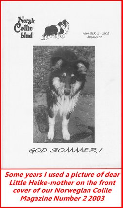 Little Heike-mother on the front cover of Norwegian Collie Magazine number 2 2003