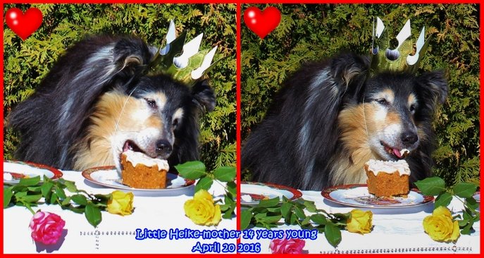 Little Heike-mother 14 years young eating yummy cake