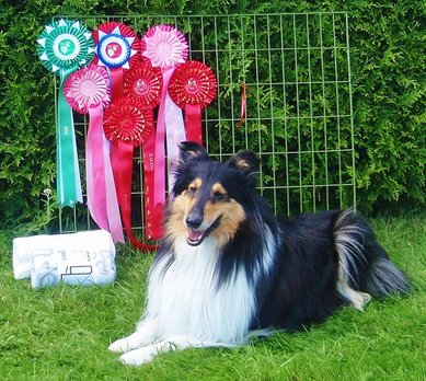 Villemo with her fantastic  prizes from a three days show