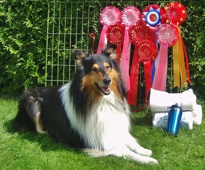 TengelMan with his prizes from a three day show