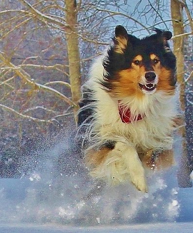 TengelMan flying in the snow