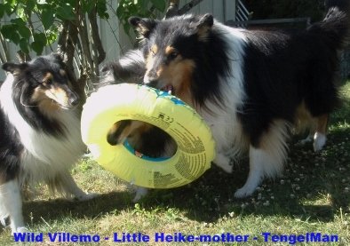 From left Wild Villemo, Little Heike-mother, TenglMan