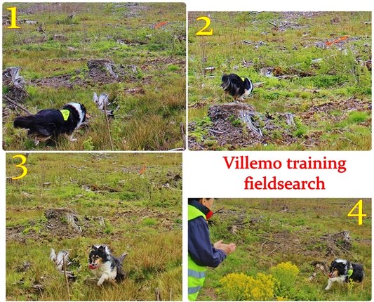 Villemo training fieldsearch