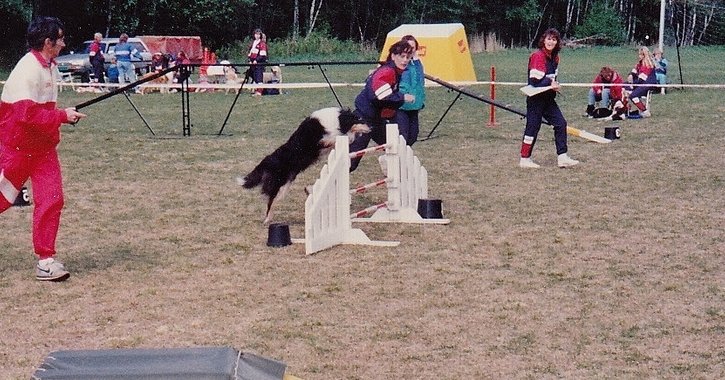Samantha competing in agility