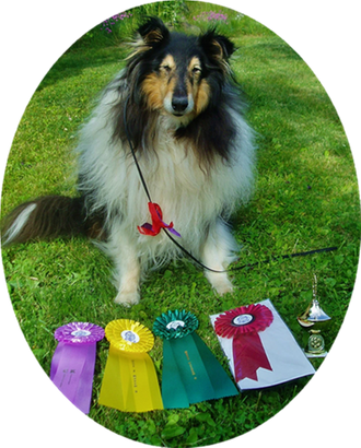 Sheppegutt with his prizes - 13 years young - what a boy