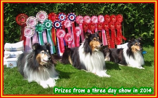 From left Little Heike-mother, TengelMan and Wild Villemo with their prizes from a three days show in 2014