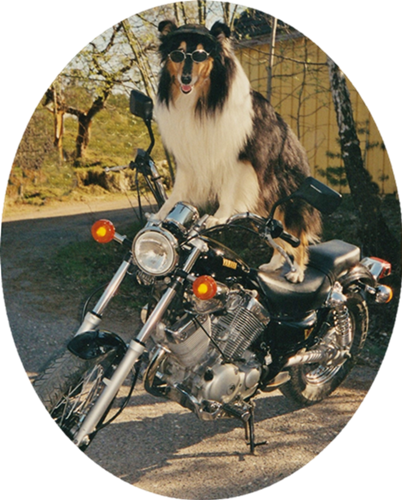 Sheppegutt on his motorbike